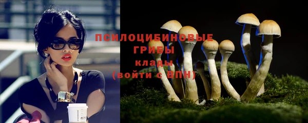 ешки Володарск