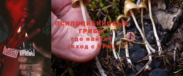 ешки Володарск