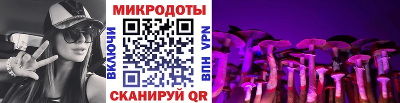 продажа наркотиков  кракен ТОР  Псилоцибиновые грибы Psilocybe  Лосино-Петровский 